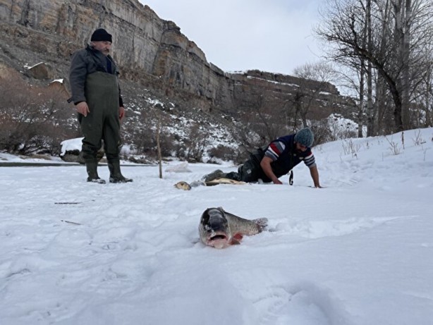Foto - Bayburt'ta köylülerin ilginç yöntemi herkesi şaşkına çevirdi!