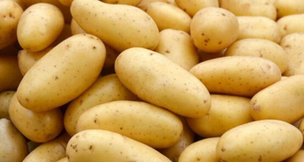 Foto - Bayıla bayıla tükettiklerinizi yerken bir daha düşüneceksiniz! Meğer neler yiyormuşuz