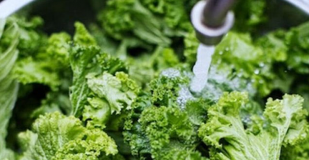 Foto - Bayıla bayıla tükettiklerinizi yerken bir daha düşüneceksiniz! Meğer neler yiyormuşuz