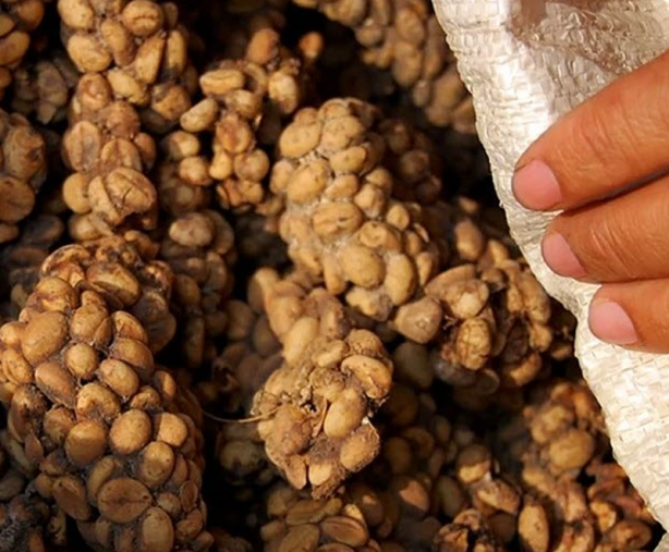 Bayıla bayıla tükettiklerinizi yerken bir daha düşüneceksiniz! Meğer neler yiyormuşuz