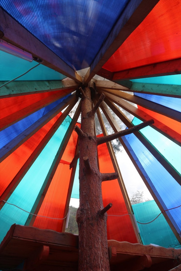 Foto - Bayılacaksınız! 30 bin liraya muhteşem bir ağaç ev yaptı