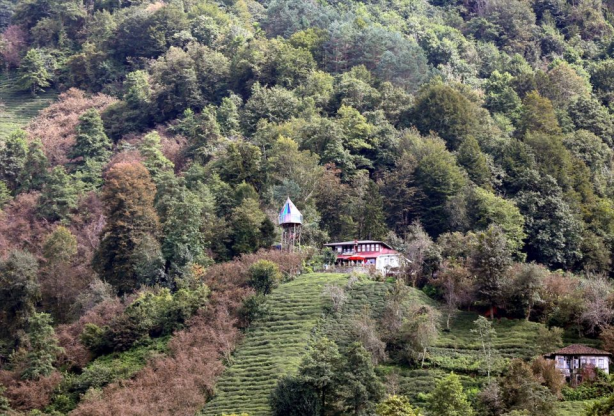 Bayılacaksınız! 30 bin liraya muhteşem bir ağaç ev yaptı