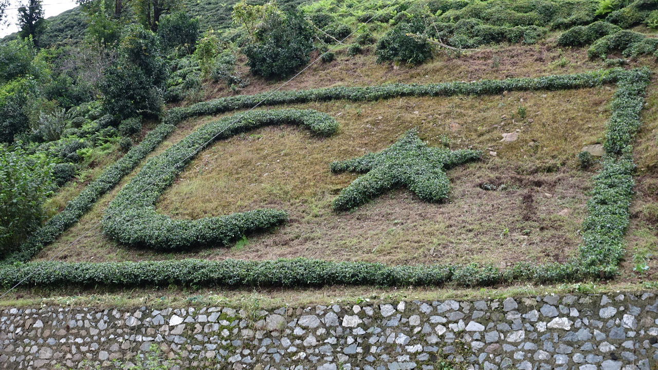Foto - Bayrak sevgisini toprağa işledi! Köyün tepesinde Türk bayrağı açtı