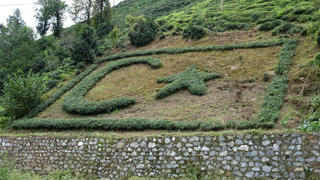 Foto - Bayrak sevgisini toprağa işledi! Köyün tepesinde Türk bayrağı açtı
