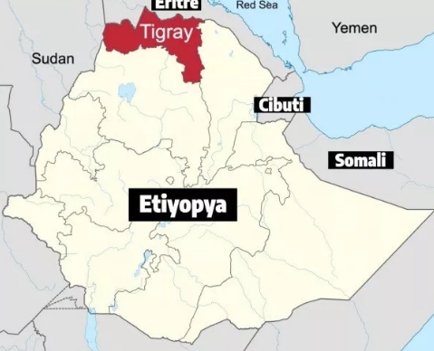 Foto - Bayraktar TB2 SİHA ile ilgili çarpıcı yorum: Yeryüzünde durdurulması en zor silahlardan biri