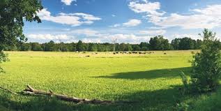 Bayram ettirecek gelişme! Birikmiş 13 bin TL'si olan, o illerde arsa sahibi olabilecek