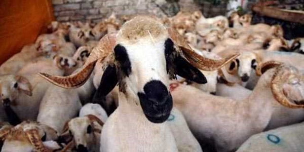 Foto - Bayram gecelerinin fazileti 