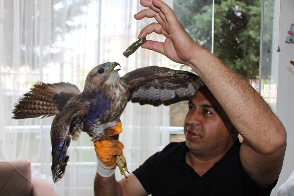 Foto - Bayram misafiri şahine neler neler ikram ettiler