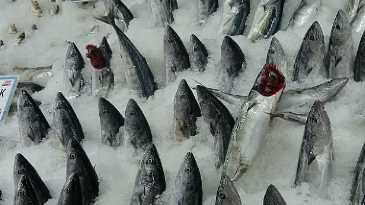 Bayram öncesi balık tezgahlarında büyük hareketlilik! Ramazan Balığı: Somon ve İstavrit... 