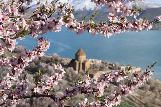 Foto - Bayramda oraya akın ettiler! Çiçek açan badem ağaçları Akdamar Adası'nı renklendirdi!