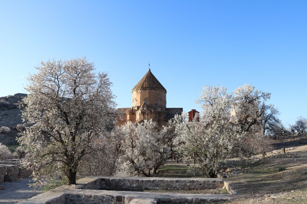 Foto - Bayramda oraya akın ettiler! Çiçek açan badem ağaçları Akdamar Adası'nı renklendirdi!