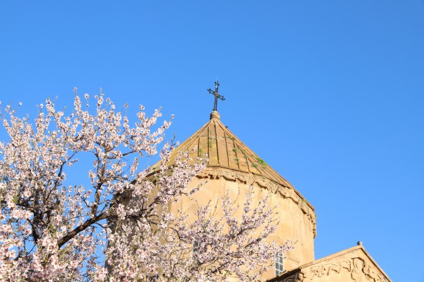 Foto - Bayramda oraya akın ettiler! Çiçek açan badem ağaçları Akdamar Adası'nı renklendirdi!
