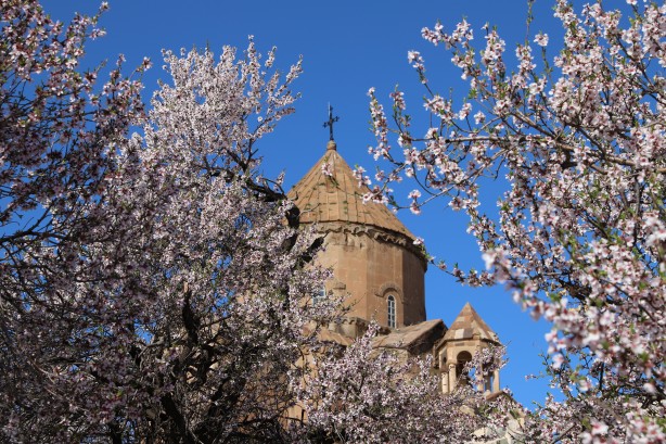 Foto - Bayramda oraya akın ettiler! Çiçek açan badem ağaçları Akdamar Adası'nı renklendirdi!