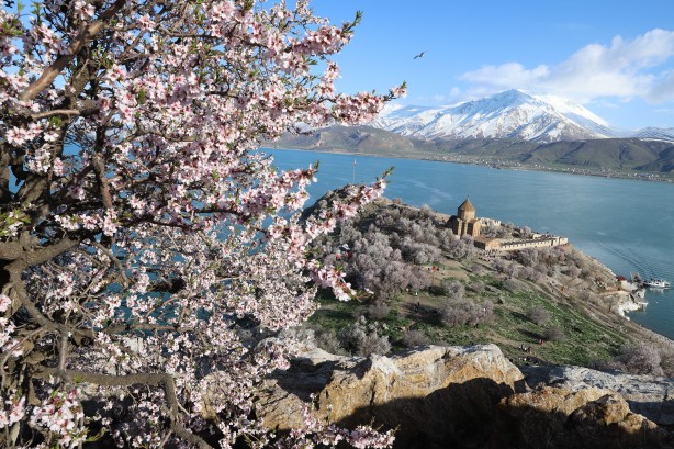Foto - Bayramda oraya akın ettiler! Çiçek açan badem ağaçları Akdamar Adası'nı renklendirdi!