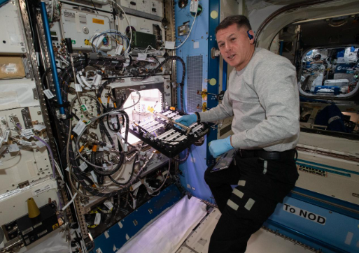 Foto - Bazıları bunu merak ediyor! Alper Gezeravcı Astront mu? Yoksa Turist mi? İşte bu sorunun cevabı