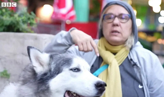 Foto - BBC sokağa indi! Her karanlık eylemin öncesinde onlar vardı