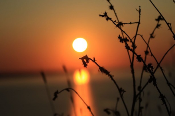 Foto - BBC, Türkiye'nin en mutlu şehrine geldi