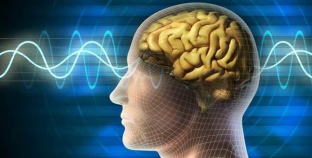 Foto - BBC yayınladı! Zeytinyağının en önemli 5 faydası