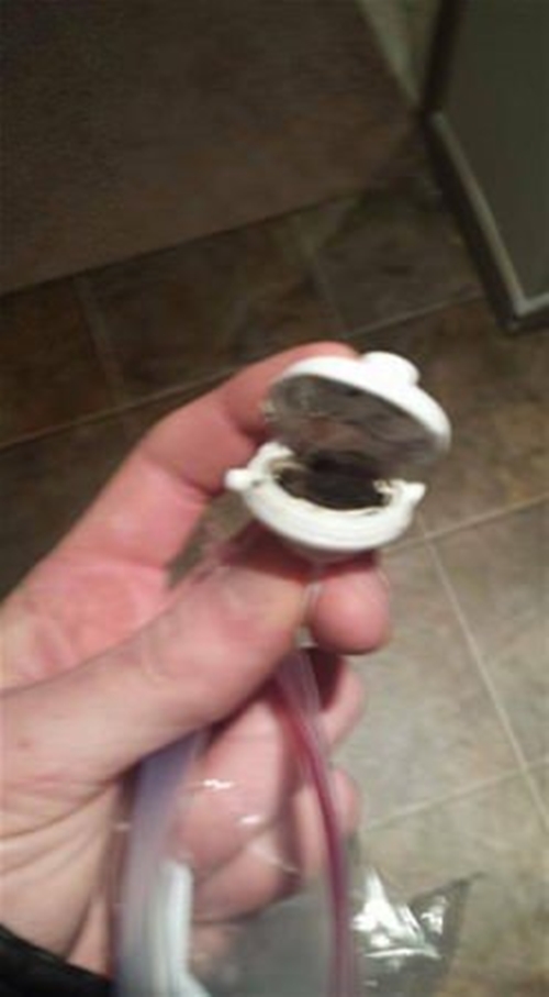 Foto - Bebeğinin suluğunu açınca hayrete düştü!