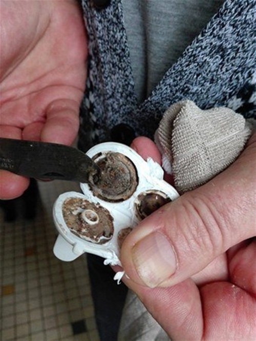 Foto - Bebeğinin suluğunu açınca hayrete düştü!