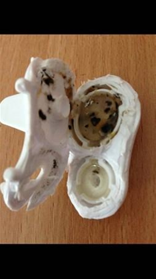 Foto - Bebeğinin suluğunu açınca hayrete düştü!