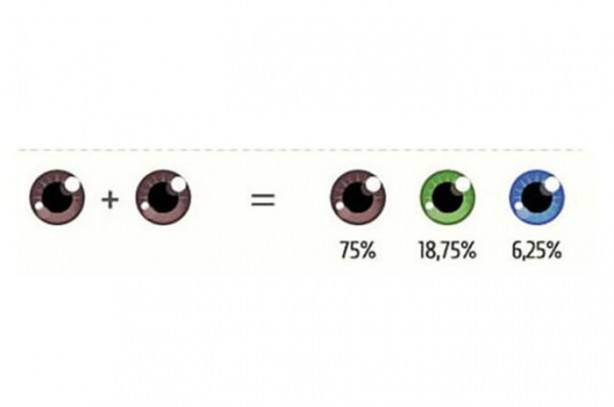 Foto - Bebeğinizin gözünün ne renk olacağını biliyor musunuz?
