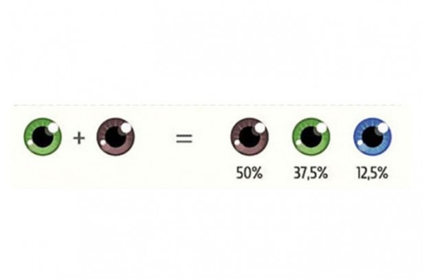 Foto - Bebeğinizin gözünün ne renk olacağını biliyor musunuz?