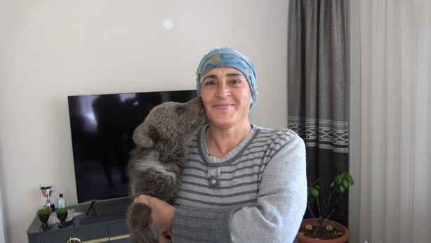 Foto - Bebek bezli yavru ayı ‘Yogi’ evin maskotu oldu