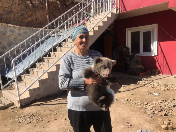 Foto - Bebek bezli yavru ayı ‘Yogi’ evin maskotu oldu