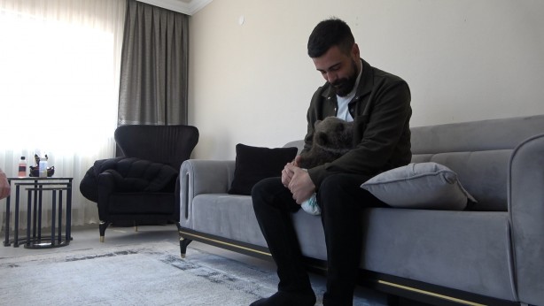 Foto - Bebek bezli yavru ayı ‘Yogi’ evin maskotu oldu