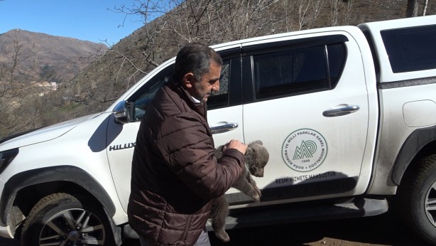 Foto - Bebek bezli yavru ayı ‘Yogi’ evin maskotu oldu