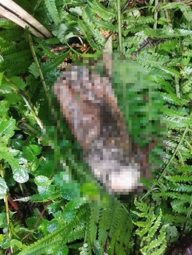 Foto - Bebek falan değil! Dere kenarında bulundu, mahalle ayağa kalktı! Belediye, hoparlörlerle vatandaşları DNA testine çağırdı