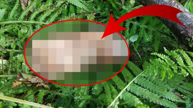 Bebek falan değil! Dere kenarında bulundu, mahalle ayağa kalktı! Belediye, hoparlörlerle vatandaşları DNA testine çağırdı