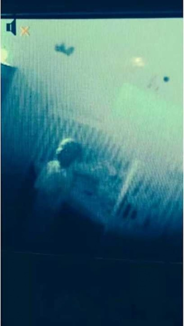 Foto - Bebek kamerasına takılan korkunç görüntüler...