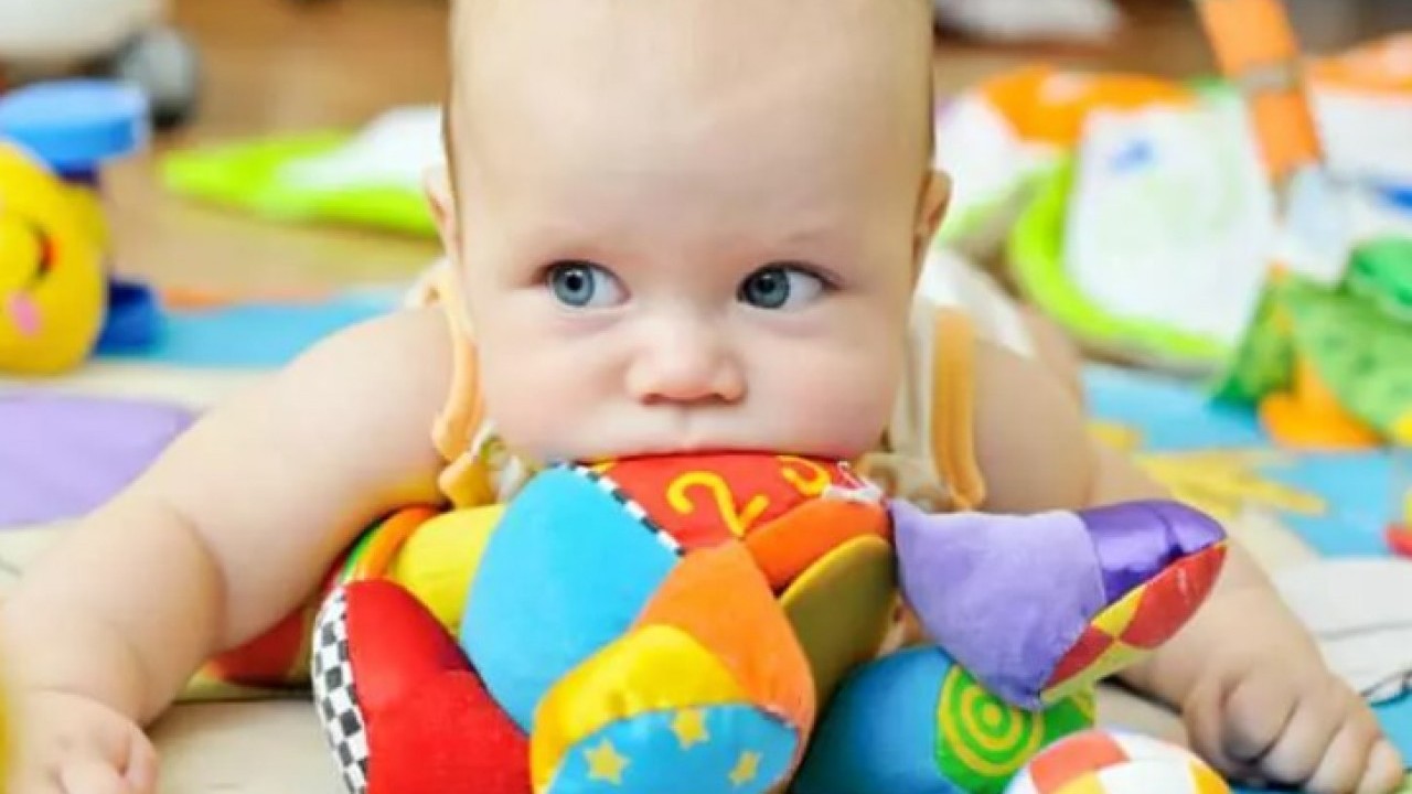 Foto - Bakanlık ifşa etti: Bu çantayı sakın almayın! 