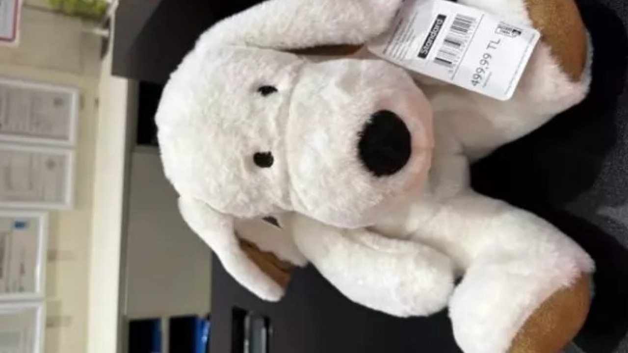 Foto - Bakanlık ifşa etti: Bu çantayı sakın almayın! 