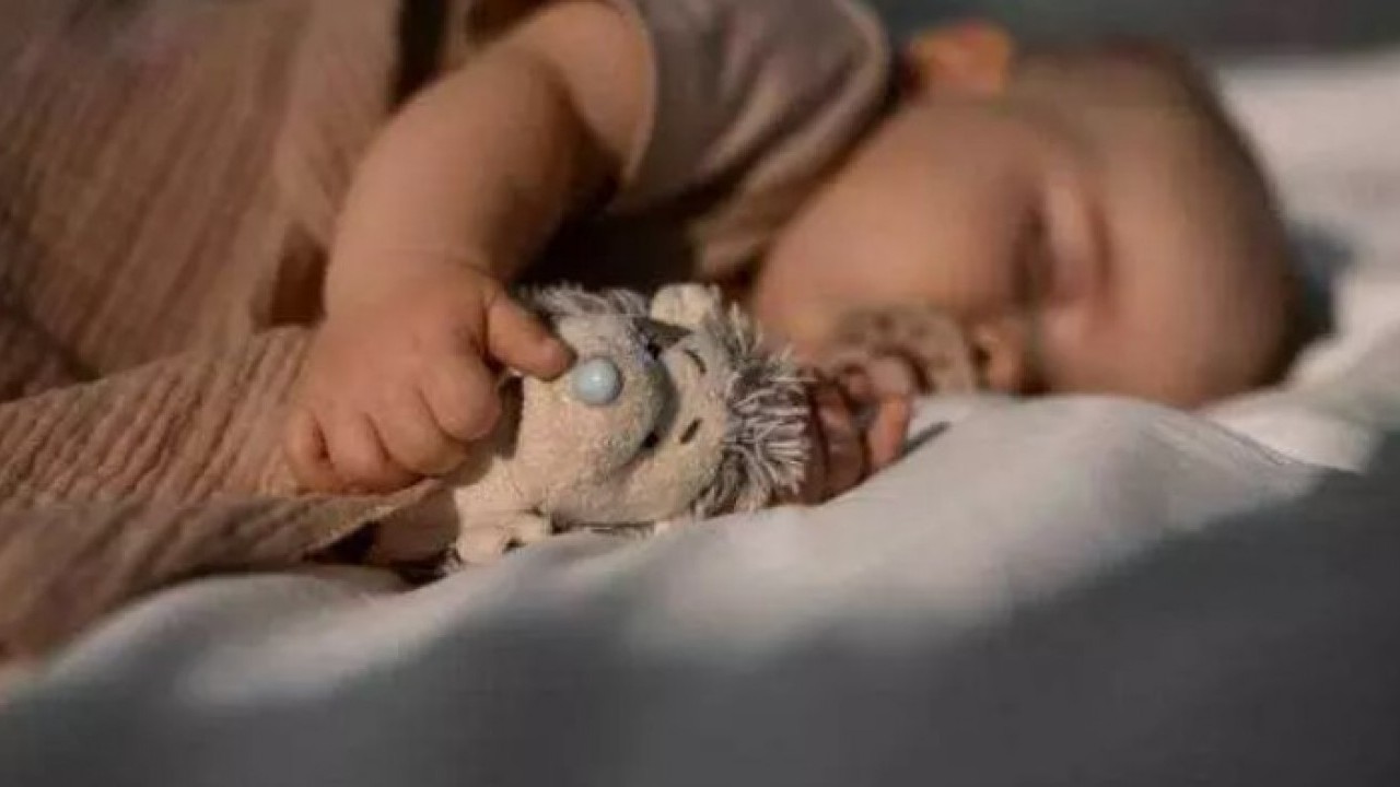 Foto - Bakanlık ifşa etti: Bu çantayı sakın almayın! 