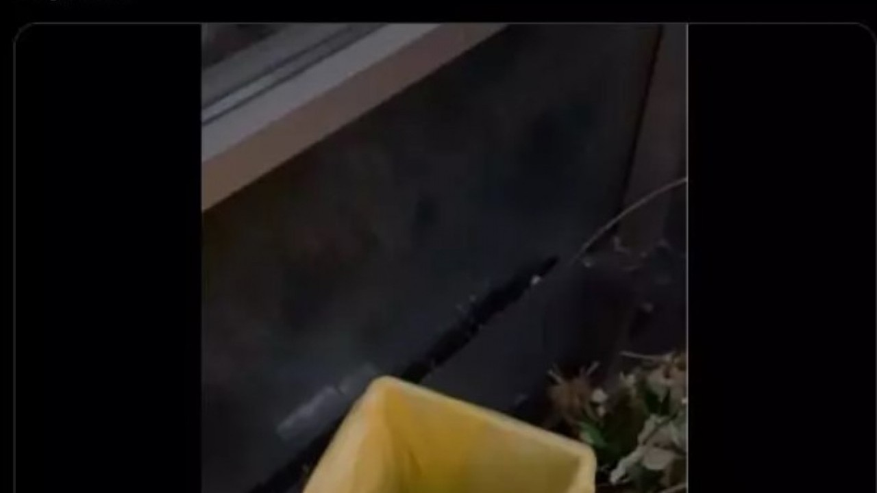 Foto - Behzat Uygur'u çıldırttılar! CHP'li belediyeye ağzına geleni söyledi!