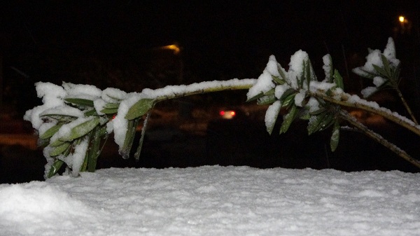 Foto - Beklenen kar İstanbul'a düştü! 