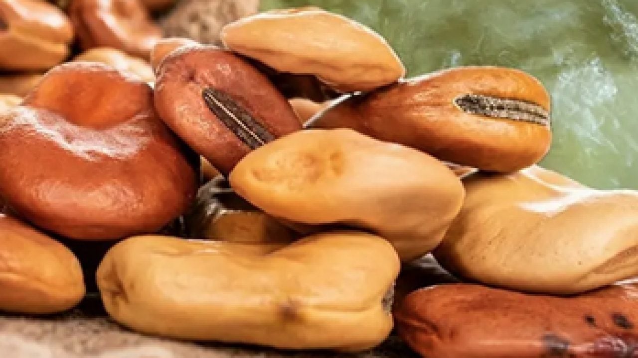 Foto - Beklenmedik besin kaynağı oldu Anadolu'da her daim ama dünyada yeni keşfedildi...