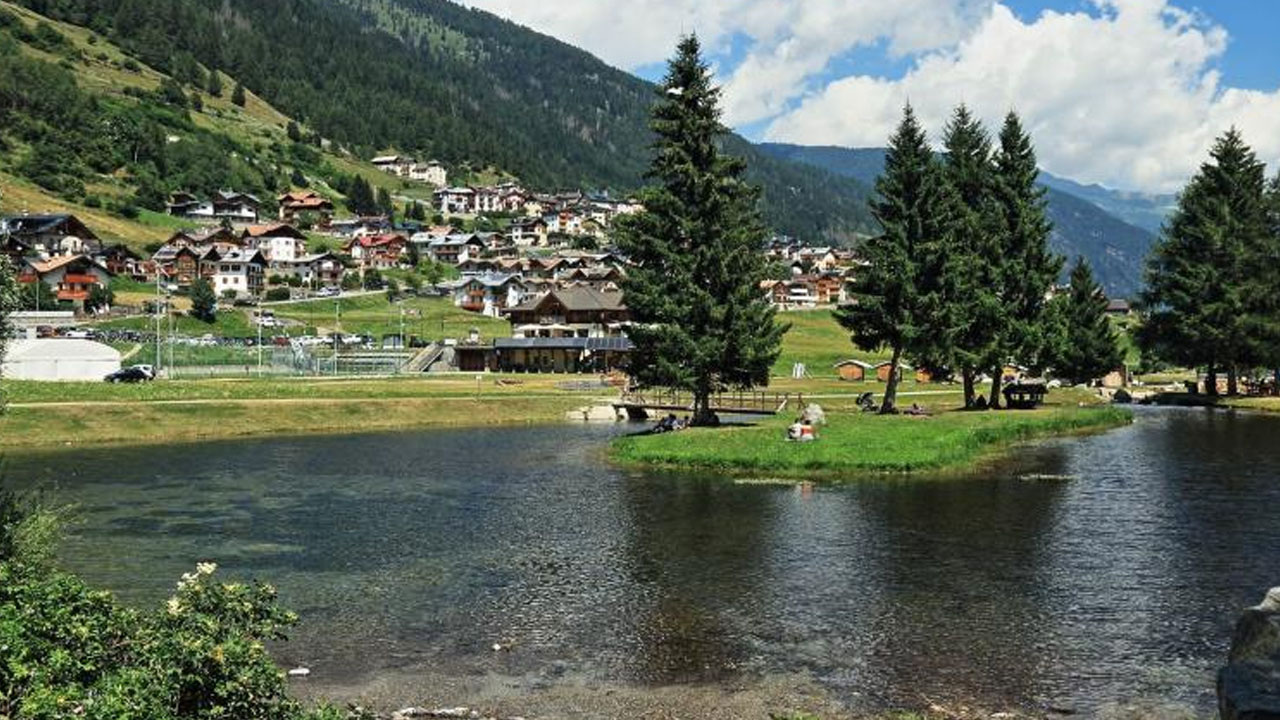 Foto - Köpekbalığına binen ahtapot, bilim insanlarını da şaşırttı! 