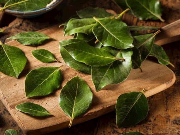 Foto - Bel ağrısını ortadan kaldıran besinler