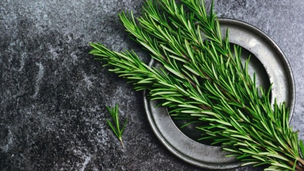 Foto - Bel ağrısını ortadan kaldıran besinler