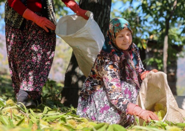 Foto - Bel kıran, kör eden bu işin günlüğü 600 lira!