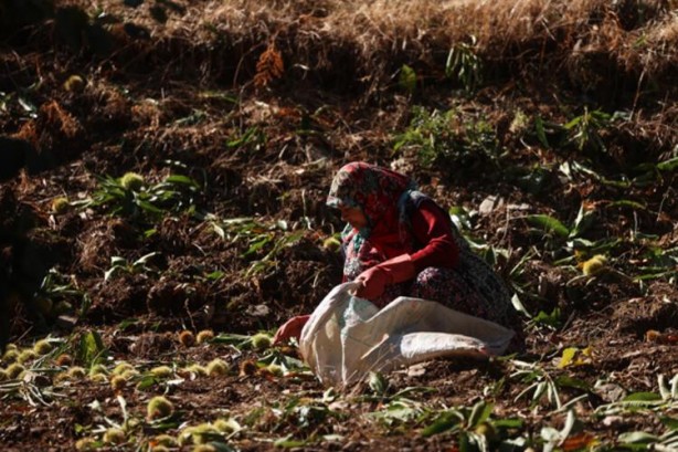 Foto - Bel kıran, kör eden bu işin günlüğü 600 lira!