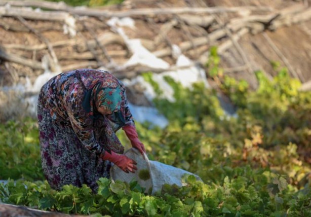 Foto - Bel kıran, kör eden bu işin günlüğü 600 lira!