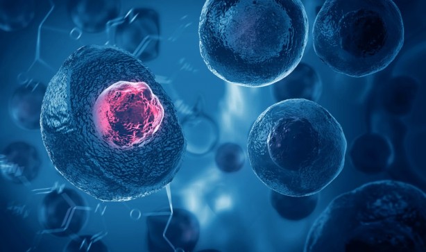 Foto - Bel ve boyun fıtığı olanlar dikkat! Saraçoğlu kritik uyarıyı böyle yaptı