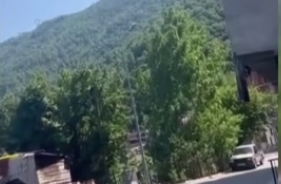 Foto - Belediye anonsunu duyanlar şok geçirdi: Bulduk! DNA testi yaptırmak isteyenler başvursun