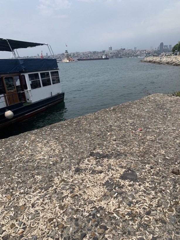 Foto - Belediye Başkanı isyan etti: Sizce bu normal mi arkadaşlar?