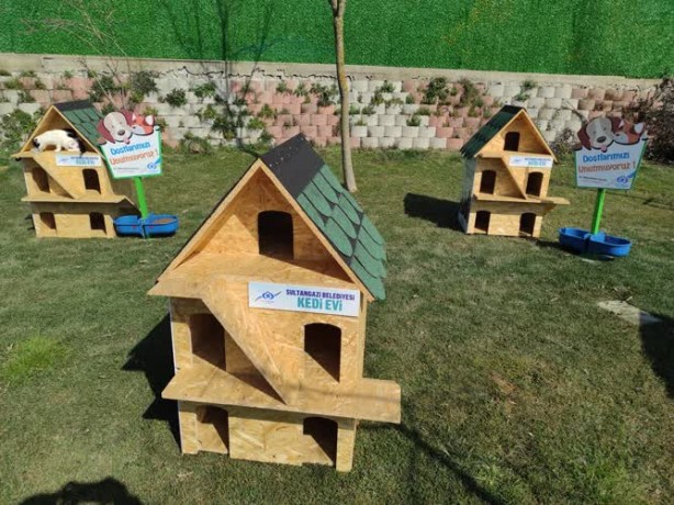 Foto - Belediye sokak kedileri için kedi köyü yaptı